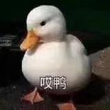 风怜心头像