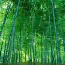 胡锐就是我的个人资料头像