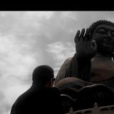 杠杠杠杠杠杠杆头像