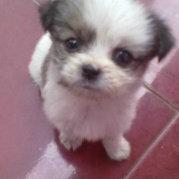 伱的温暖似阳光的个人资料头像