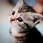 马林康的个人资料头像