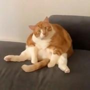 Ustinian489的个人资料头像