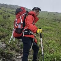 灵动max大灯广东头像