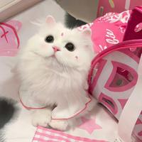 甜甜的卡哇伊土豆头像