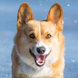 又是夏末的一年头像