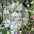 用户66463378926头像