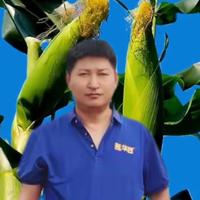 时泽农资专营店头像