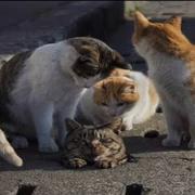 123967的个人资料头像