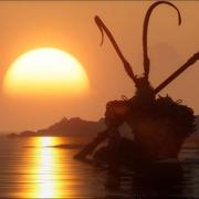 维C当糖吃的个人资料头像