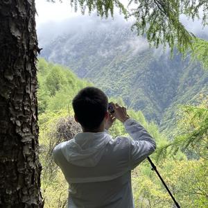不语头像