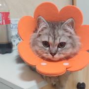 VHG的个人资料头像