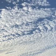 oGs的个人资料头像