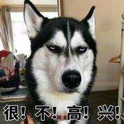 小菜机的个人资料头像