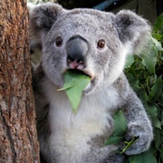 owen989的个人资料头像