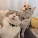 D重名了104650的个人资料头像