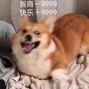 我只像说无所谓的个人资料头像