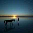 7号在掘金的个人资料头像