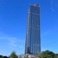 雁城浪子头像
