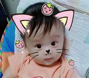 飞翔的蓝_的个人资料头像