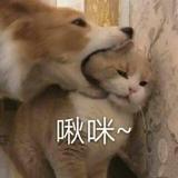 kewei606头像