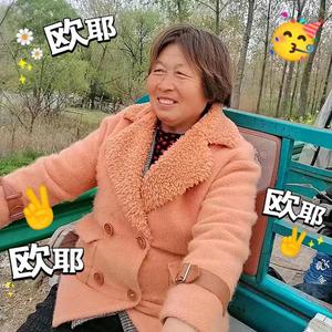 逍遥游子头像
