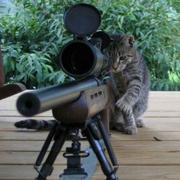 MRay1471256724233的个人资料头像