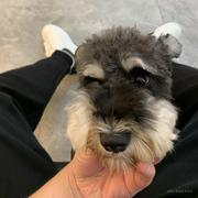 BigZ的个人资料头像