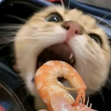安俟头像