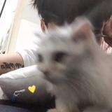 天份505头像