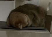 温水煲的个人资料头像