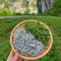 小非家莓茶头像