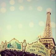 囊子的个人资料头像