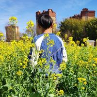 用户5667069505862头像