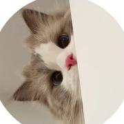 脑子要爆炸的个人资料头像