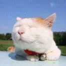 a磊的个人资料头像