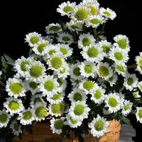 一往无前我就我头像