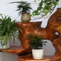 用户泰山206911724头像