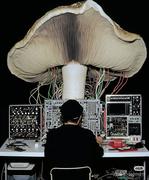 小数笔记的个人资料头像