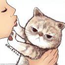 小马马歇尔的个人资料头像