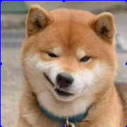 丿只想做只低调喵乚丶的个人资料头像