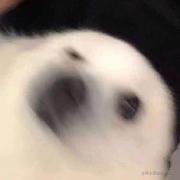 人莫予毒的个人资料头像