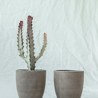 高级小羊POgPsr头像