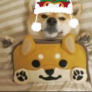 Addiction295的个人资料头像