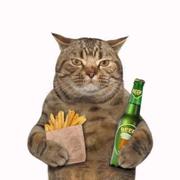 照松林的个人资料头像