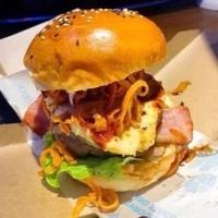 汉堡研究院院长头像