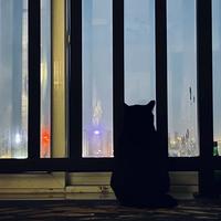 瑞娜它爹头像