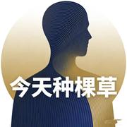 今天种颗草的个人资料头像
