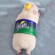 Byliner的个人资料头像