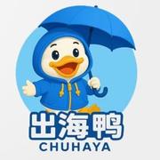 奇点星穹的个人资料头像