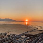 阿豪105的个人资料头像